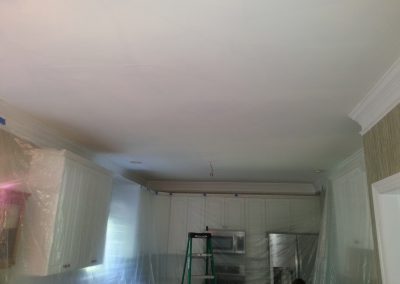 Fortus Electric ceiling light updates